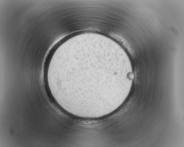 X0000116570780201001071154