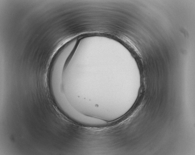 X0000116570781201001071154