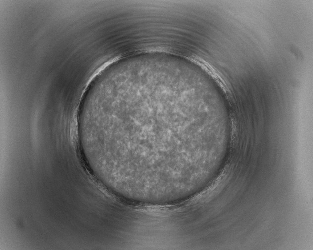 X0000116570782201001071154