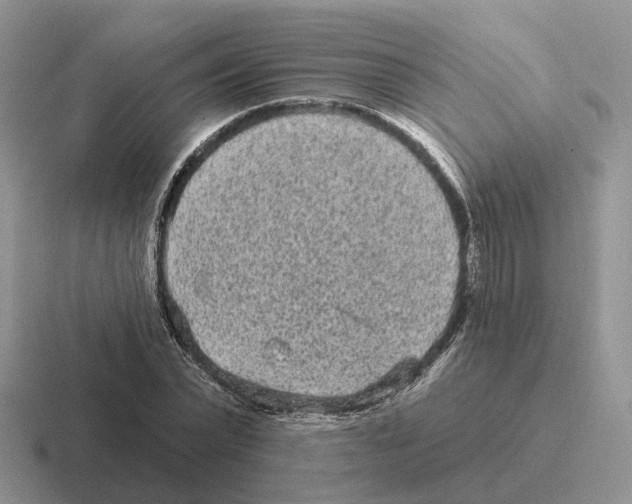 X0000116570783201001071154