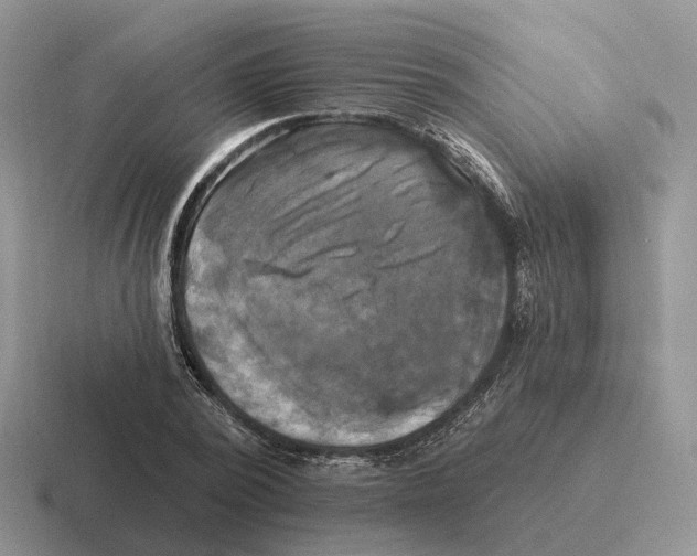 X0000116570784201001071154