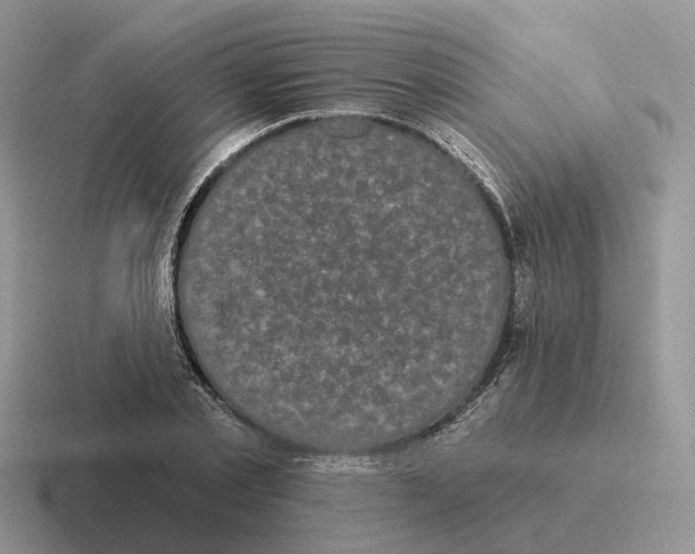 X0000116570789201001071154