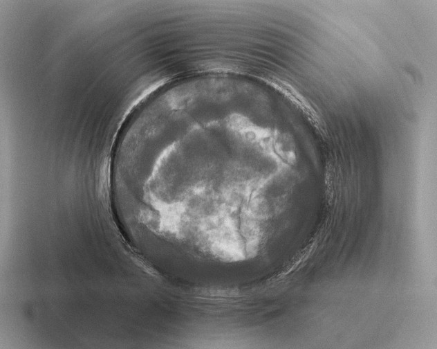 X0000116570790201001071154