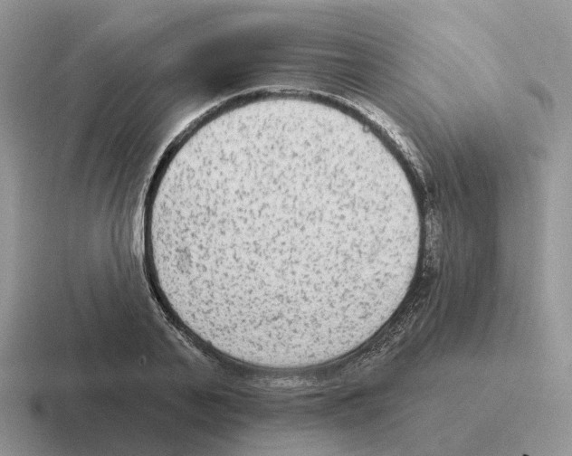 X0000116570791201001071154