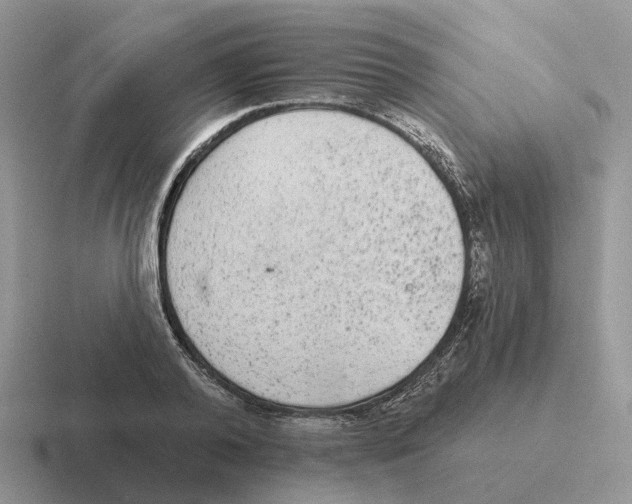 X0000116570792201001071154