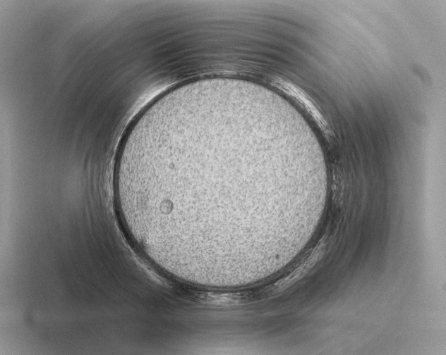 X0000116570794201001071154