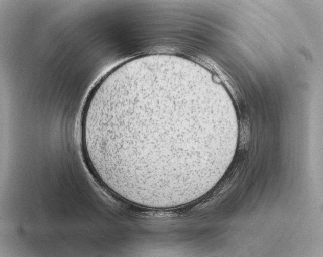 X0000116570795201001071154