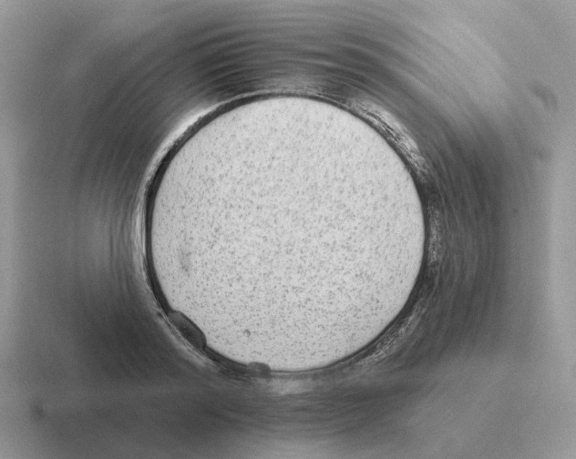 X0000116570796201001071153