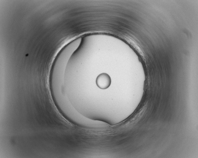 X0000116570797201001071153