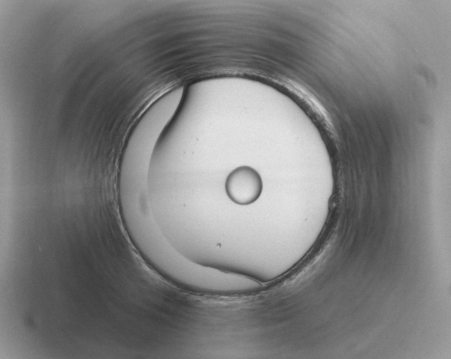 X0000116570801201001071153