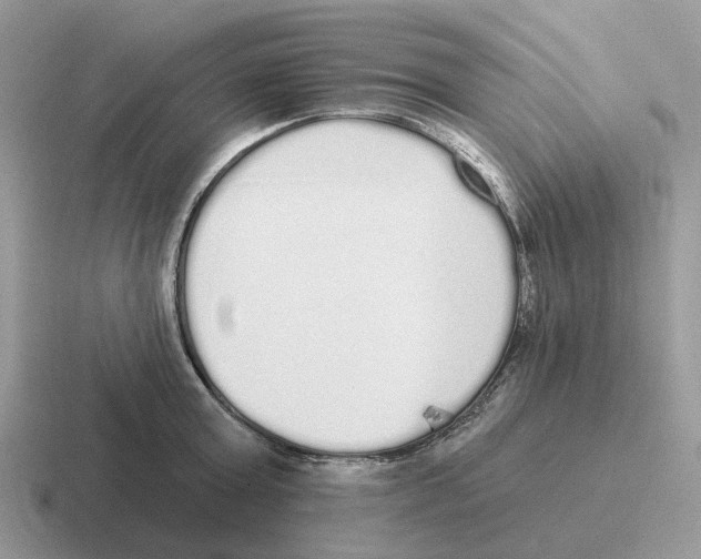 X0000116570803201001071153