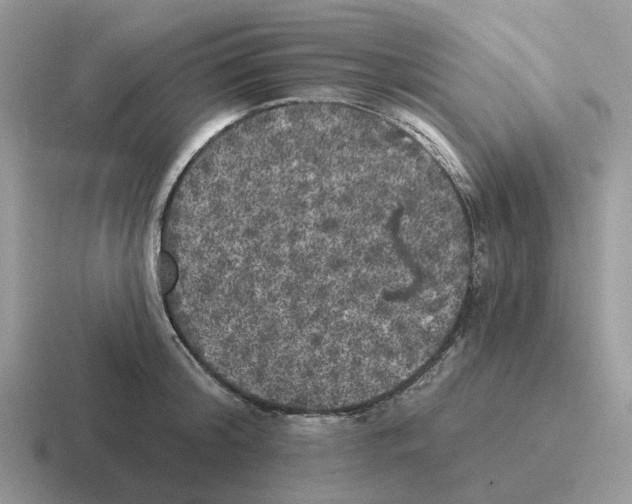 X0000116570804201001071153