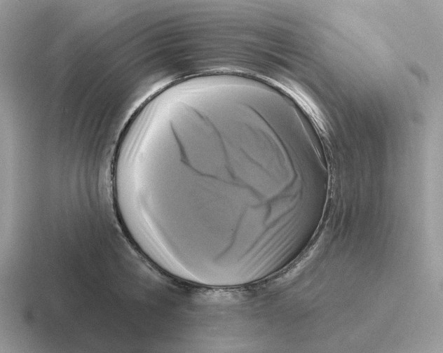 X0000116570806201001071153