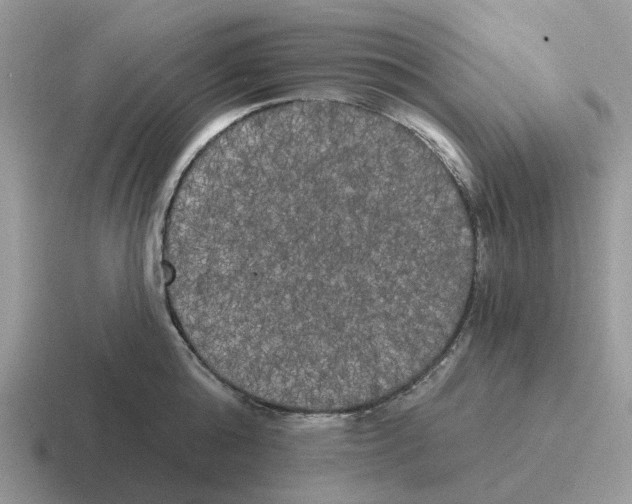 X0000116570808201001071153