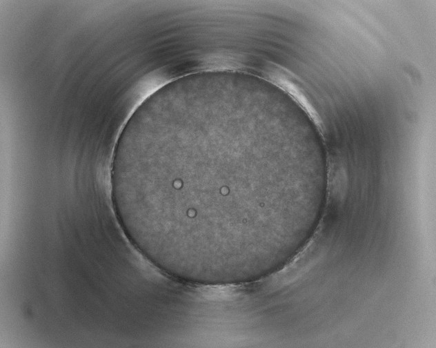 X0000116570810201001071153