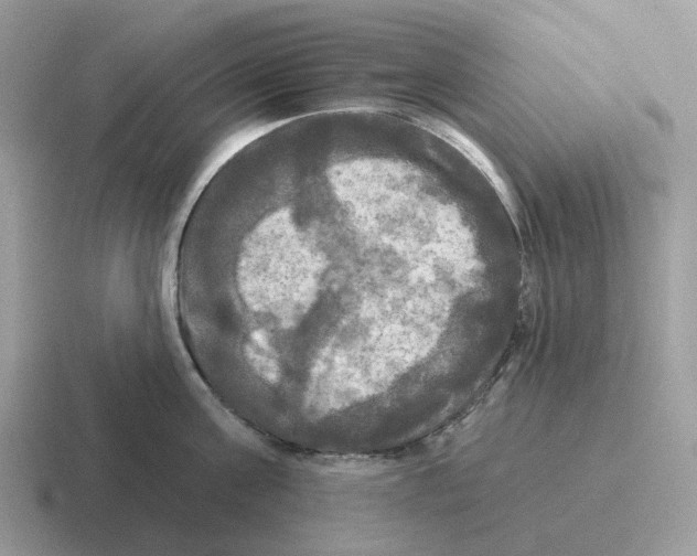 X0000116570811201001071153