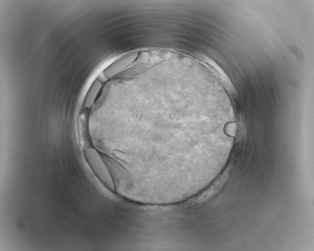 X0000116570812201001071153