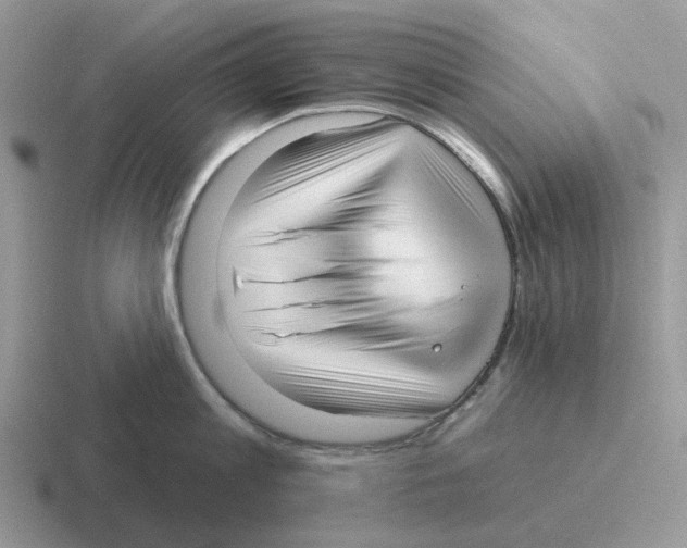 X0000116570813201001071153