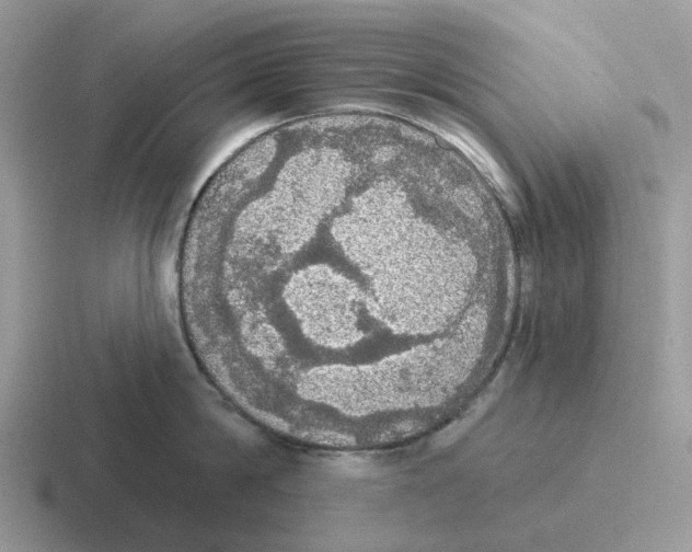 X0000116570814201001071153