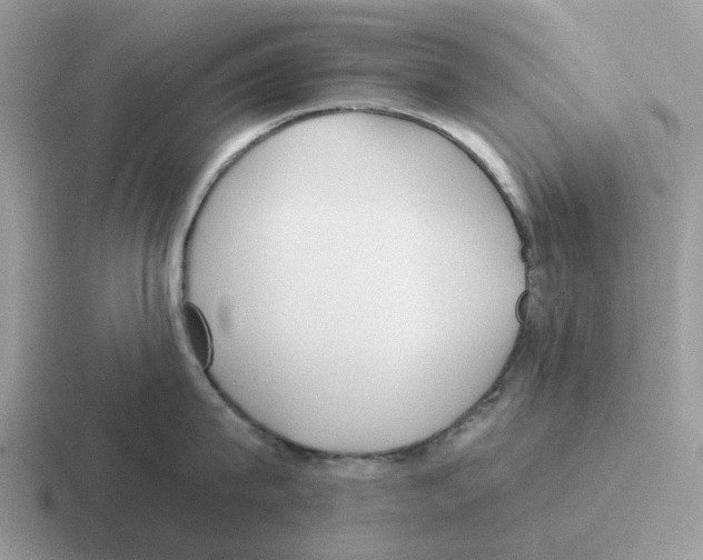 X0000116570815201001071153