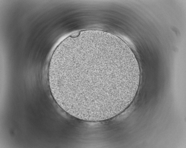 X0000116570816201001071153