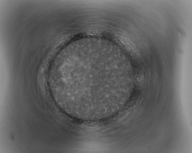 X0000116570817201001071153