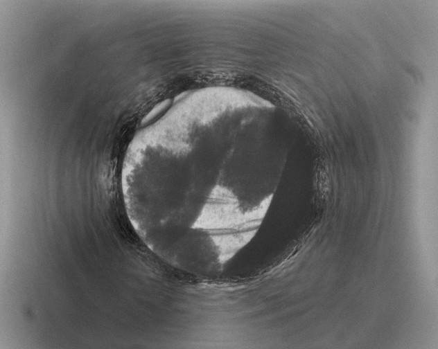 X0000116570818201001071153