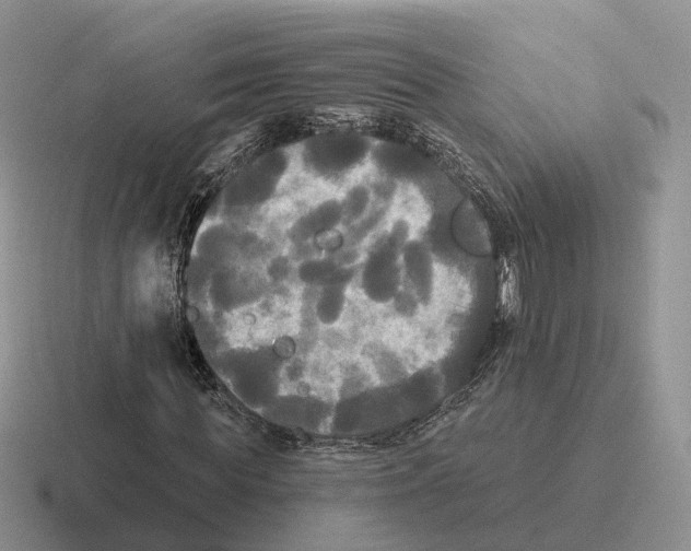 X0000116570819201001071153