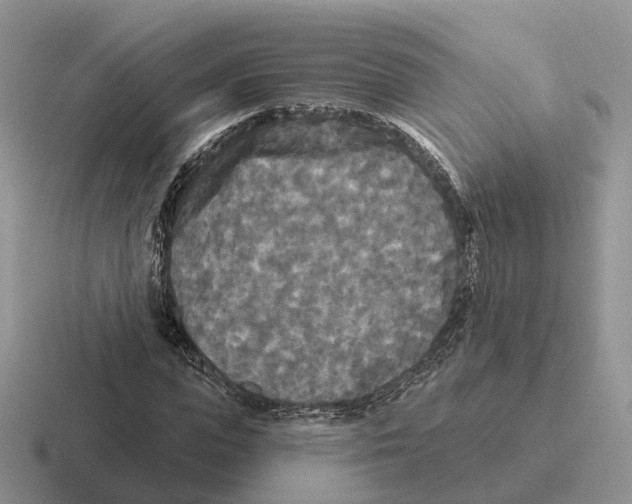 X0000116570823201001071153