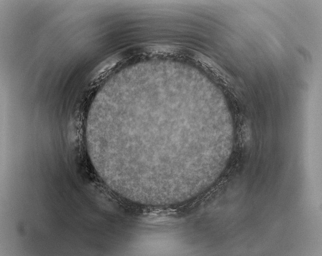 X0000116570824201001071153