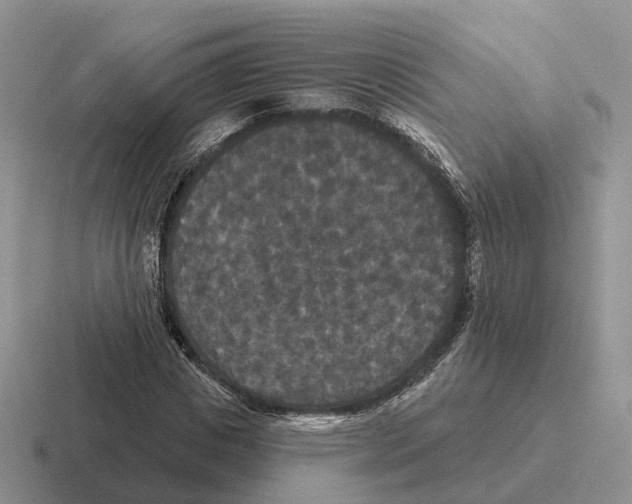 X0000116570825201001071153