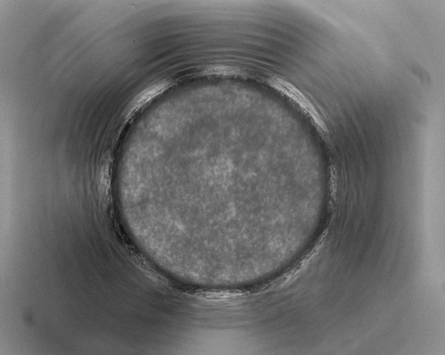 X0000116570826201001071153