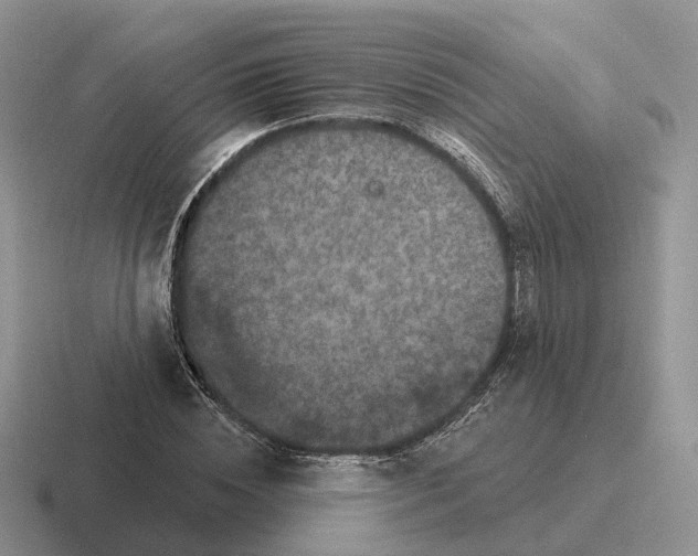 X0000116570828201001071153