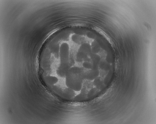 X0000116570829201001071153