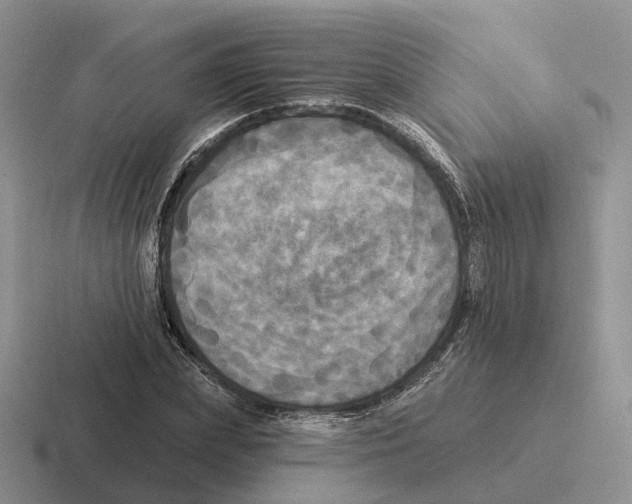 X0000116570831201001071153