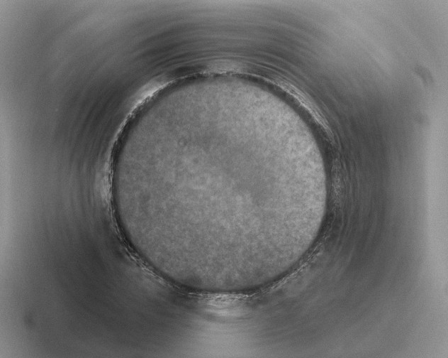 X0000116570832201001071153