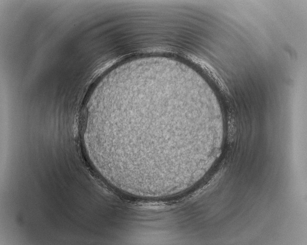 X0000116570833201001071153