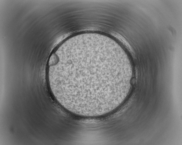 X0000116570834201001071153