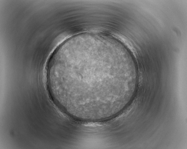 X0000116570835201001071153