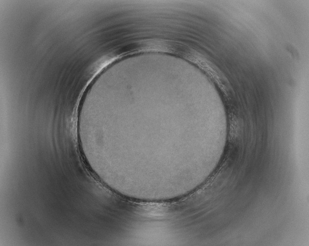 X0000116570836201001071153