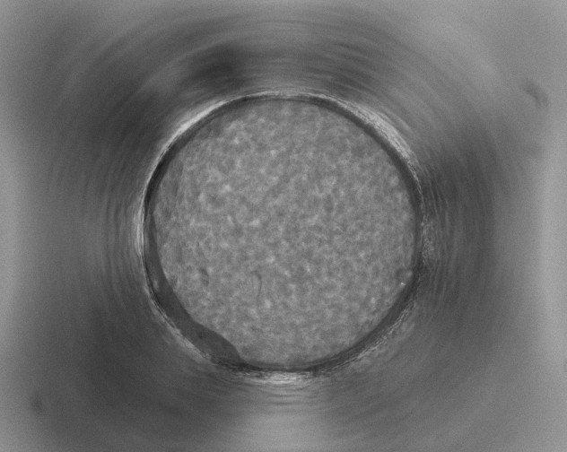 X0000116570839201001071153