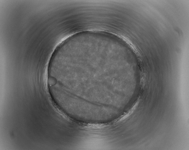 X0000116570840201001071153