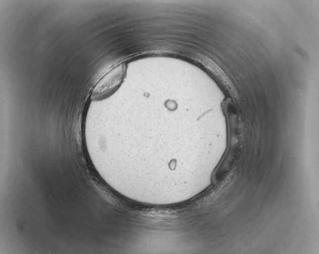 X0000116570842201001071153