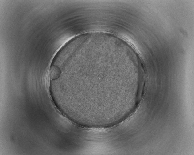 X0000116570844201001071153