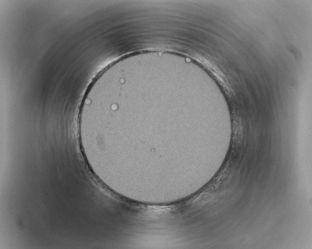 X0000116570848201001071153