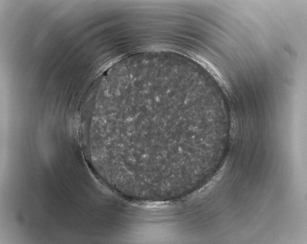 X0000116570849201001071153