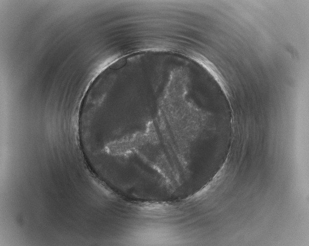 X0000116570850201001071153