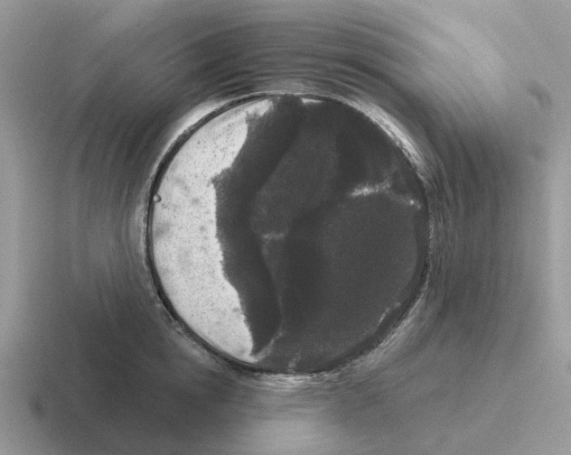 X0000116570854201001071153