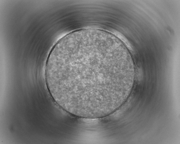 X0000116570856201001071153