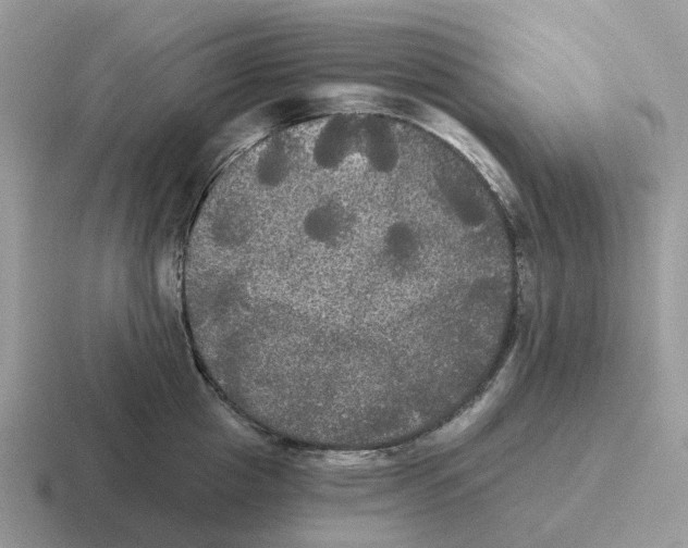 X0000116570857201001071153